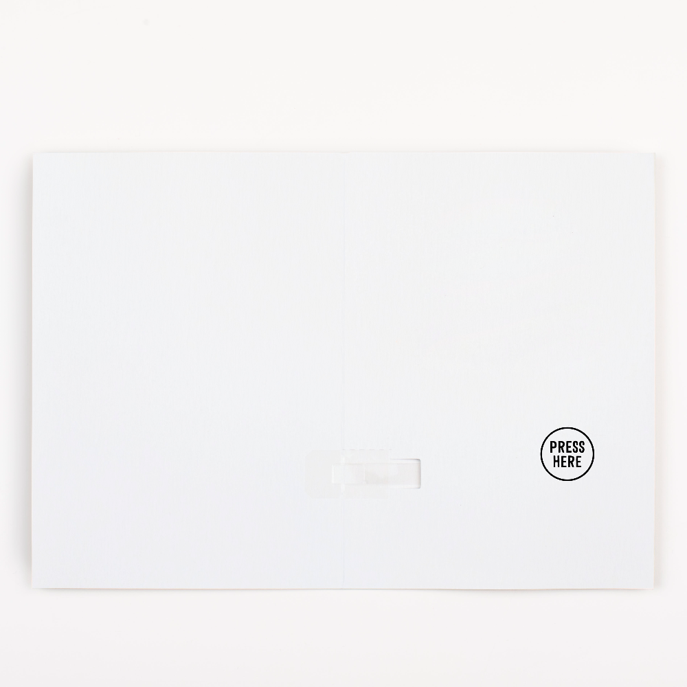 Birthday-Recordable-open